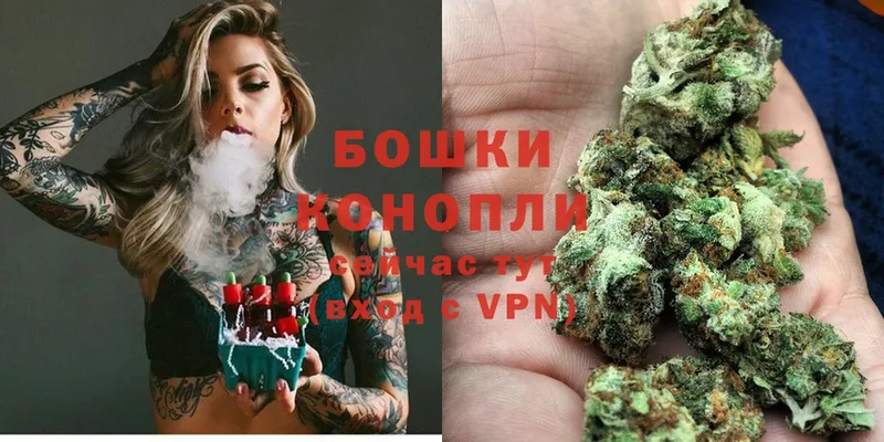 Канабис SATIVA & INDICA  продажа наркотиков  Островной 